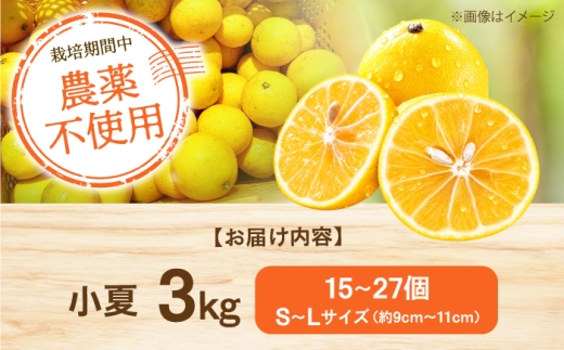 【先行予約】自然栽培小夏 3kg 〈2027年4月1日～6月30日発送〉/ 柑橘 自然 土佐市 【有限会社四万十くじら】 [BQBR016]