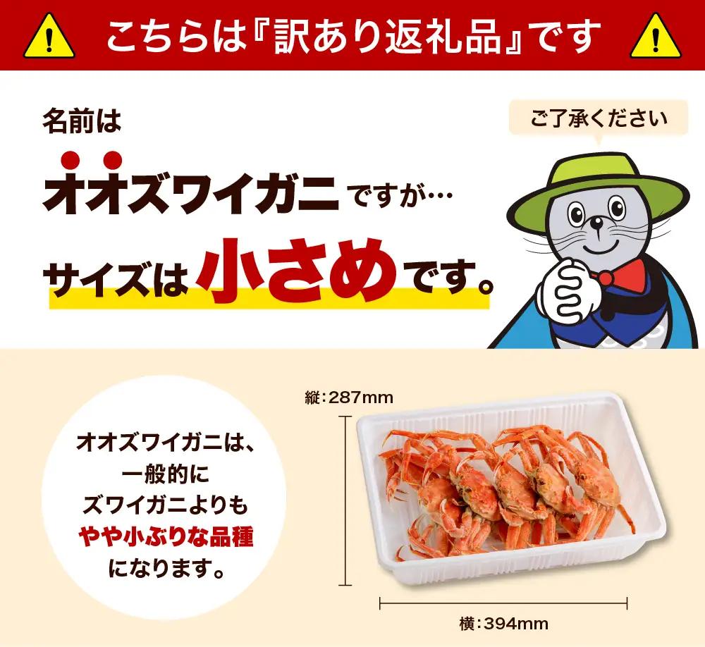 訳あり 生冷オオズワイガニ セクション 1kg