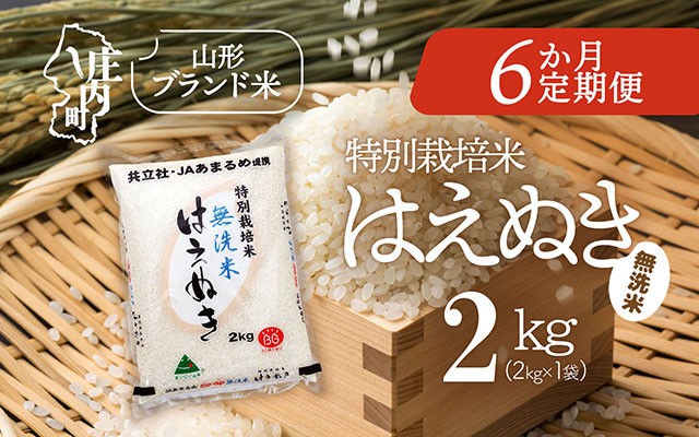 
                  【6か月定期便】庄内米 特別栽培米 はえぬき 無洗米 2kg 毎月 2kg×1袋 令和7年産 / 令和8年産 ブランド米 米 山形 庄内平野 コシヒカリの原点、亀の尾発祥の地 庄内 お米の定期便【毎月中旬発送】
                