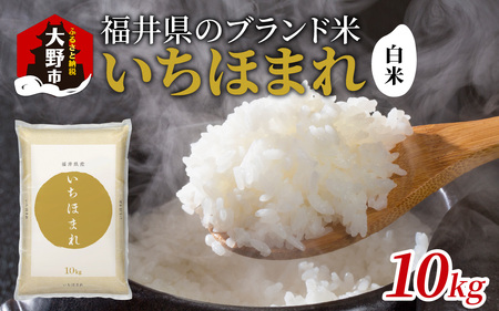 【令和6年産 新米】福井県産 いちほまれ（白米）10kg[B-097001]