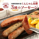 【ふるさと納税】 くんじゃん命豚 ソーセージ 3種セット（各150g×3本） ヌチブタ イノブタ 猪豚 詰め合わせ 豚 ポークソーセージ 猪 イノシシ ビールに合う プレゼント ギフト