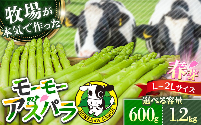 
            【先行予約・選べる容量】モーモーアスパラ春芽 L～2L （600g or 1.2kg / 3月下旬より順次発送） 迷ったらこれ！ちょうどいい太さ2種セット 日田市 / 有限会社本川牧場 [ARAI002/ARAI030]
          