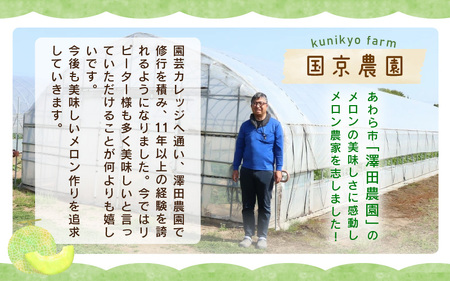  【先行予約】マルセイユメロン 2玉入 3L（1kg以上×2玉）高糖度で抜群に美味しい赤肉メロン ／ 果物 フルーツ 産地直送 ※2024年6月上旬以降発送