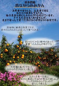 蔵出しみかん3kg入り　SS又はSいずれかのサイズ　鈴木農園から農園直送！【北海道・沖縄県・一部離島 配送不可】