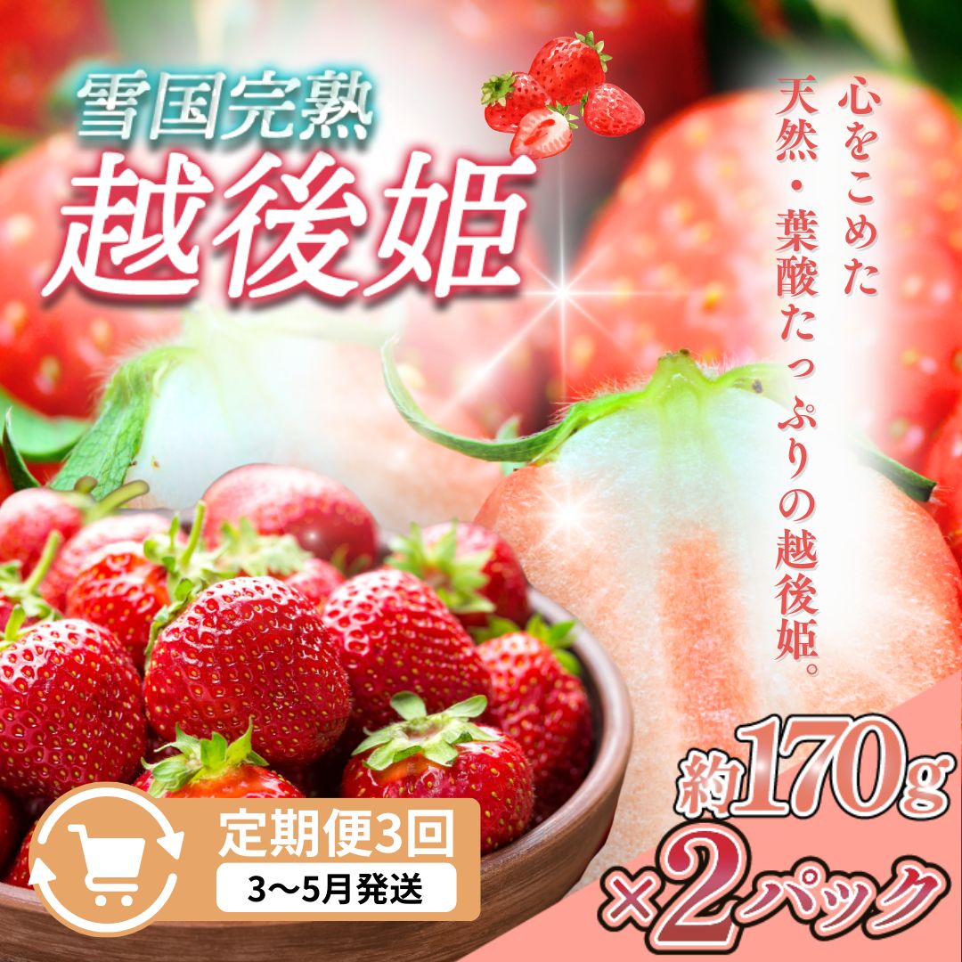【ふるさと納税】定期便 3回【3～5月発送】雪国完熟いちご越後姫 170g×2全3回 定期配送 越後姫 いちご 定期便 完熟 苺 新潟　お届け：3月～5月の月1回お届けいたします。