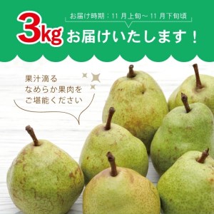 SA2077　酒田のラ・フランス　約3kg