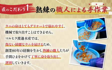 先行予約 無添加 極上 エゾバフンウニ 塩水パック 50g 配送期間B:10月下旬~11月下旬迄 | うに 高級 ウニ 雲丹 生ウニ エゾバフンウニ 塩水 人気 ふるさと納税 北海道 登別市