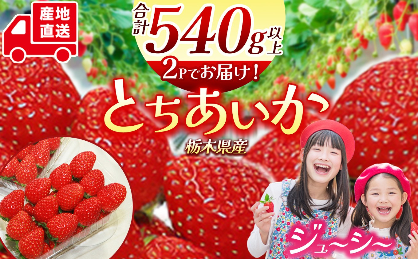 
                  【先行予約】栃木県産 いちご とちあいか 2パック | (270g-290g)×2パック イチゴ 人気 栃木県 下野市 送料無料
                