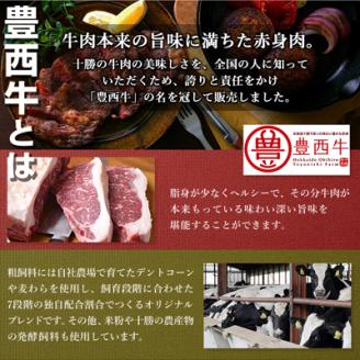 豊西牛100%ハンバーグ 10枚入ギフト(トヨニシソース付)【配送不可地域：離島】