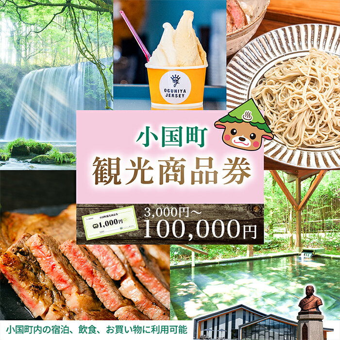 【ふるさと納税】阿蘇 小国町 観光商品券 1000円券（3千・5千・1万・3万・5万・10万円分）熊本 杖立 山川 わいた 温泉 湯けむり 蒸し湯 ジャージー牛乳 あか牛 旅行 観光 宿泊 日帰り 飲食 お買い物 お土産 現地払い 地域振興 旅行支援 送料無料【地場産品基準：類型99】