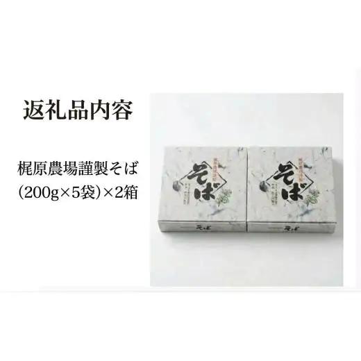 そば 乾麺 北海道安平町産 梶原農場謹製そば (200g×5袋)×2箱【1137101】