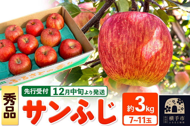
            【先行受付】12月中旬より発送 サンふじ【秀品】約3kg（7～11玉）りんご 林檎
          