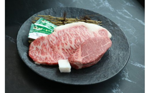 近江牛ヒレステーキ【120g×1枚】　＆　サーロインステーキ【150g×1枚】　【CO07W】（国産牛　和牛　ブランド牛　ブランド和牛　黒毛和牛　牛肉　肉　高級　人気　おすすめ　神戸牛　松阪牛 に並ぶ 日本三大和牛 近江牛）