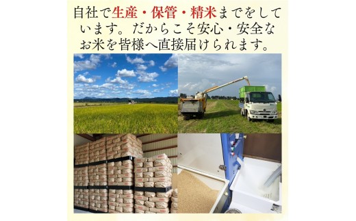 令和8年産 先行予約 新潟県 上越市産米 コシヒカリ 10kg（5kg×2） こしひかり 新米 精米 米ヴィレッジさんわ 上越市三和区