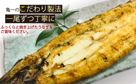 鰻 白焼 国産 鰻 定期便 4回 