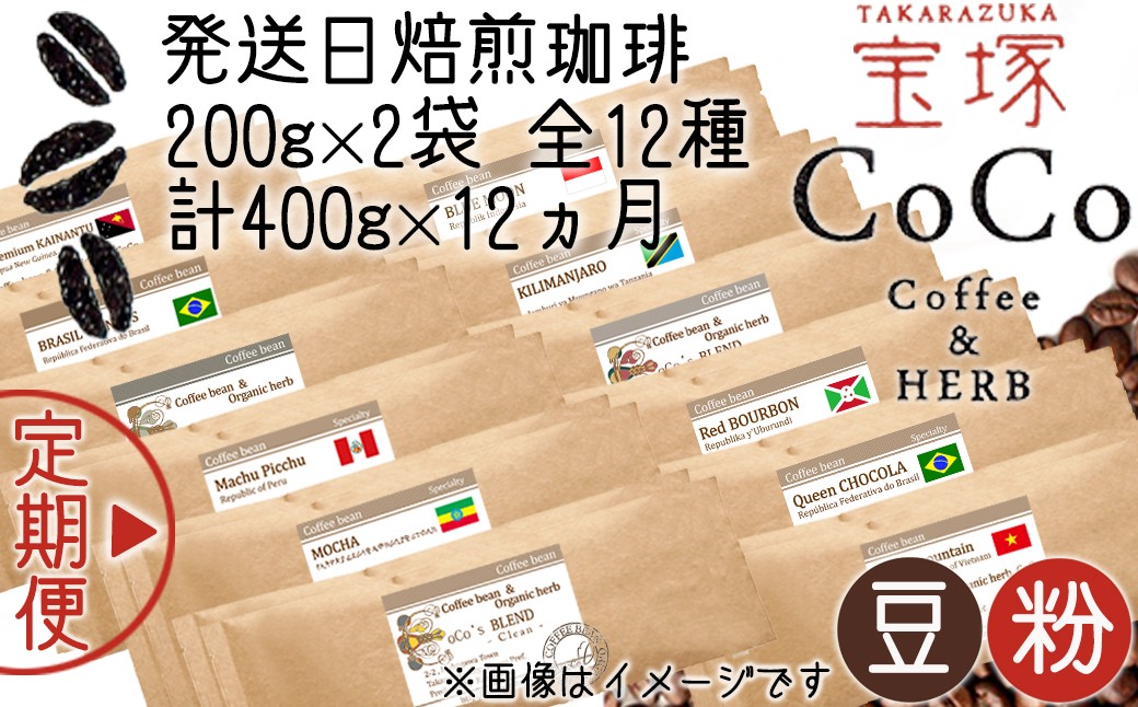 
                  【宝塚】12ヶ月定期便R(発送日自家焙煎珈琲豆・全12種 計4.8kg)
                