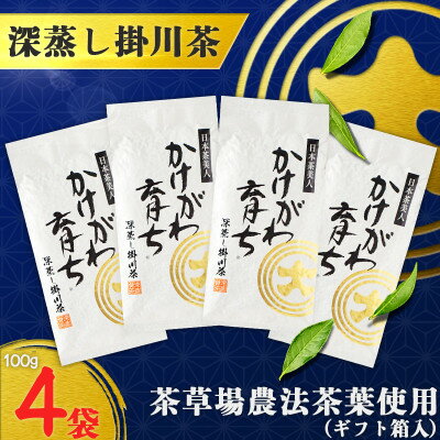【ふるさと納税】深蒸し掛川茶「かけがわ育ちW」100g×4袋セット【配送不可地域：離島・沖縄県】【1091968】