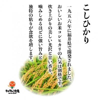 ふるさと納税 坂井市 【令和6年産先行受付】さんさん池見二代目が笑顔で育てたコシヒカリ 上白米10kg[A-0232] |  | 02