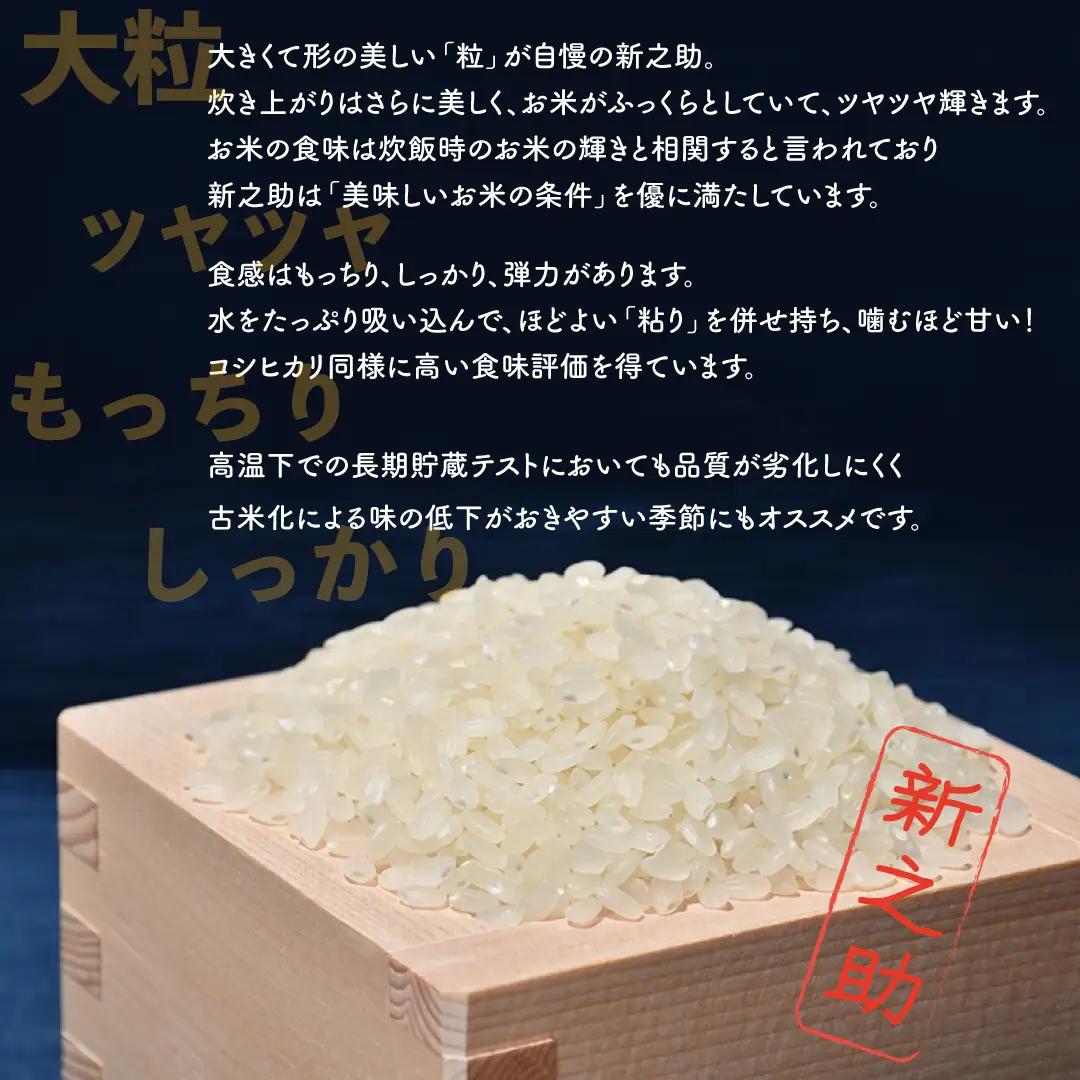 令和8年産 佐渡島産 新之助 玄米4kg