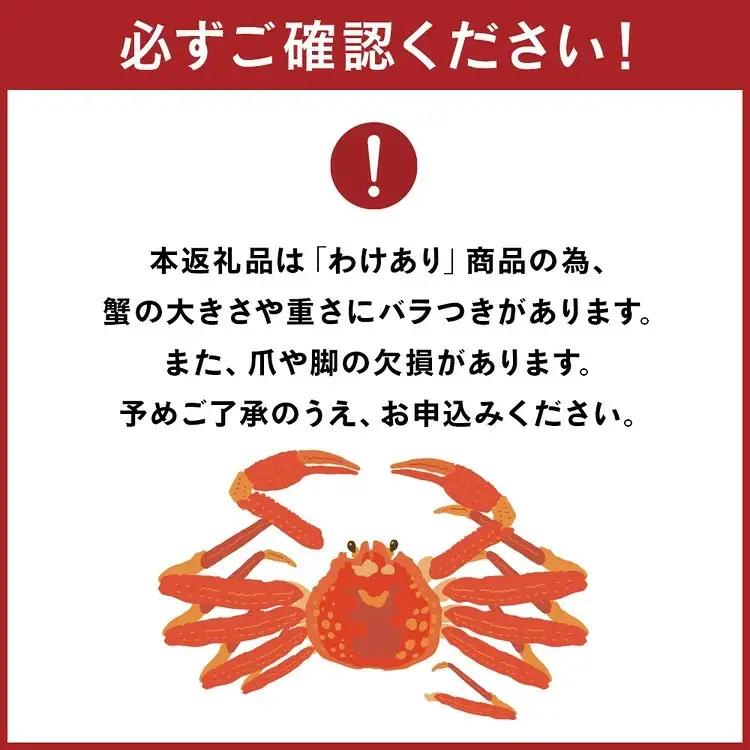 【訳あり】 自社漁船直送！魚卸問屋のベニズワイガニ 約2kg ※2026年9月下旬～2027年5月下旬頃に順次発送予定 ※北海道・沖縄・離島への配送不可