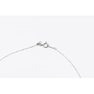 ふるさと納税 甲府市 0.3ct PT900アーチネックレス HY-10 |  | 02