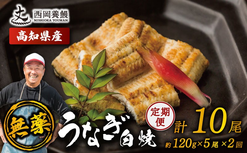
                  完全無投薬 鰻白焼 国産 定期便 計10尾 ( 120g × 5尾 × 2回 ) うなぎ白焼 鰻 厳選 無薬 うなぎ 白焼き 白やき 国産うなぎ 国産鰻 人気 鰻白焼き 特製タレ 山椒 セット 湯煎 簡単調理 旨味 風味 香ばしい うな重 土用の丑の日 スタミナ食 ギフト 贈り物 贈答 お取り寄せ グルメ 高級 うなぎ料理 こだわり 冷凍 高知県産 ランキング おすすめ 西岡養鰻 安芸市 高知県
                