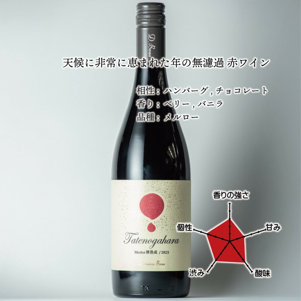 【ふるさと納税】立野原メルロー樽熟成 2023 ワイナリー風景ポチ袋5枚セット付き | お酒 ワイン 赤ワイン メルロー 南砺市 トレボー株式会社 ドメーヌ・ボー ふるさと納税 返礼品 人気 おすすめ 送料無料