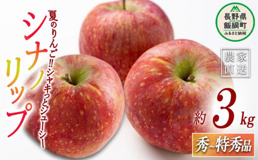 りんご シナノリップ 秀 〜 特秀 3kg 丸山りんご園 沖縄県への配送不可 2025年8月中旬頃から2025年9月上旬頃まで順次発送予定 令和7年度収穫分 信州 果物 フルーツ リンゴ 林檎 長野 12000円 予約 農家直送 長野県 飯綱町 [0704]