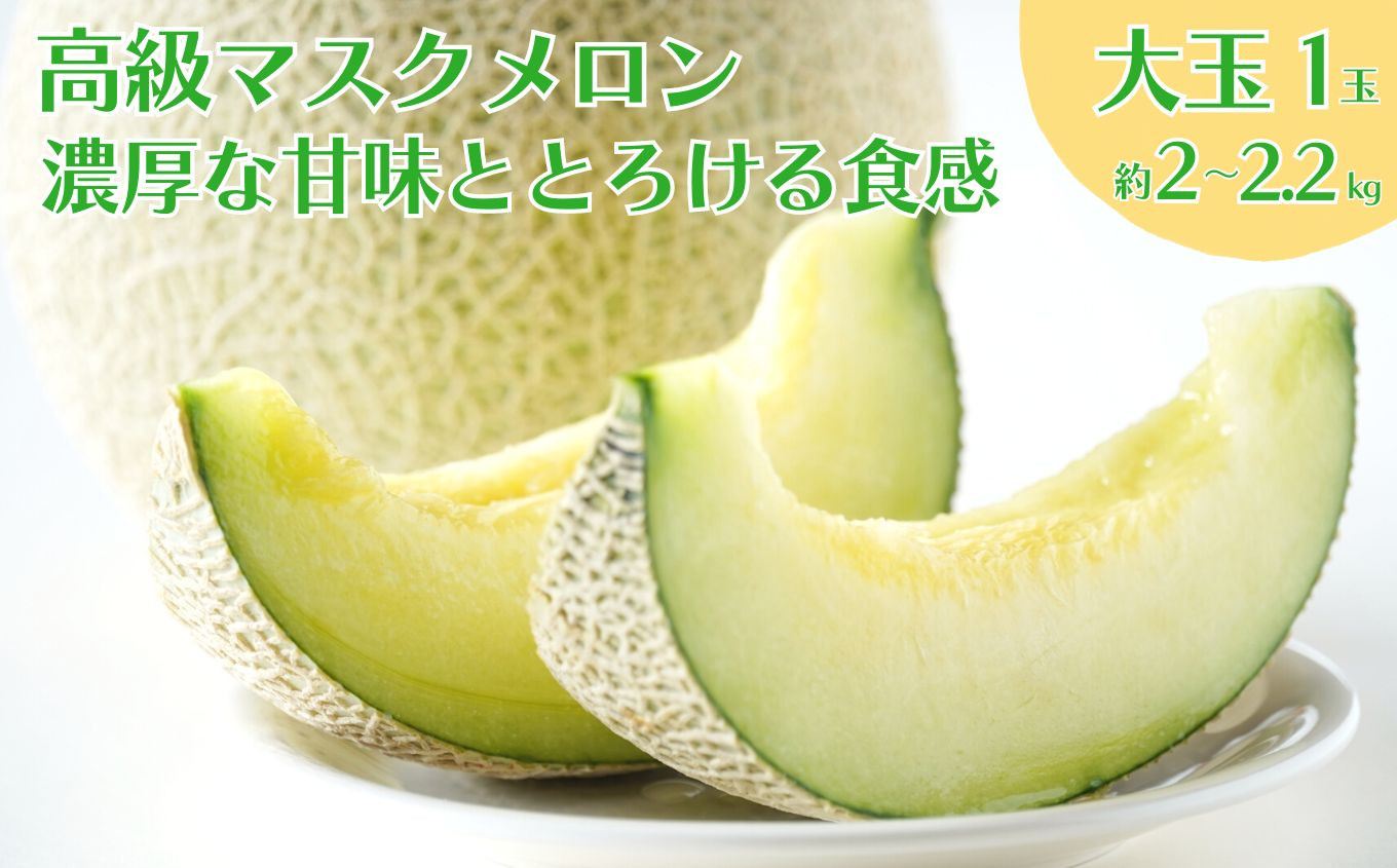 
                  【先行予約】9月にお届け！高級マスクメロン 1玉 2～2.2kg程度 濃厚な甘みととろける食感 リピーター多数 完熟 アールスメロン 大玉 青肉 30セット限定 農家直送 糖度15度以上 フルーツ 旬 甘い ギフト 人気 産直
                
