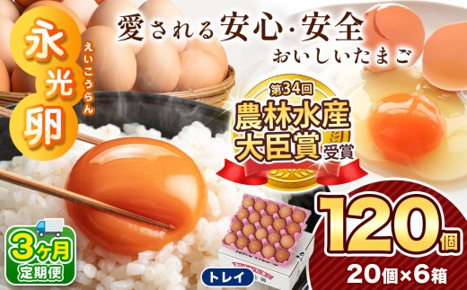 【 定期便 3回 】メディア紹介多数！ 永光卵 120個 卵 たまご 選べる 個数 回数 トレイ タイプ | 送料無料 えいこうらん 光永ファーム みつなが 安心 安全 おいしい卵 ゆうパック ゆで卵 プリン 君津市 きみつ 千葉県