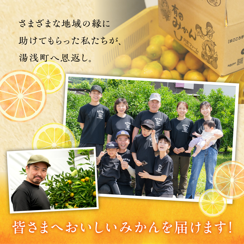 【2026年先行予約】和歌山 湯浅町産 田村みかん 約5kg【2Sサイズ】_ZE6486