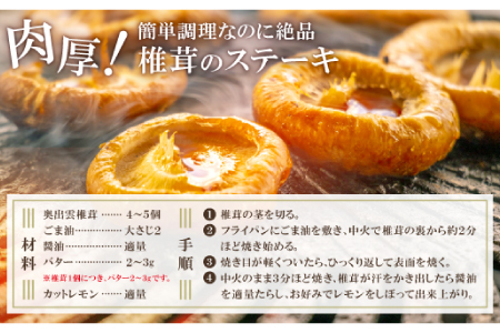 「奥出雲椎茸」プレミアム贈答品【椎茸 生しいたけ 1kg 収穫直後 サイズ混合 新鮮 旨味たっぷり 菌床栽培 国産 きのこ キノコ 野菜 料理 食品 産地直送 自宅用】