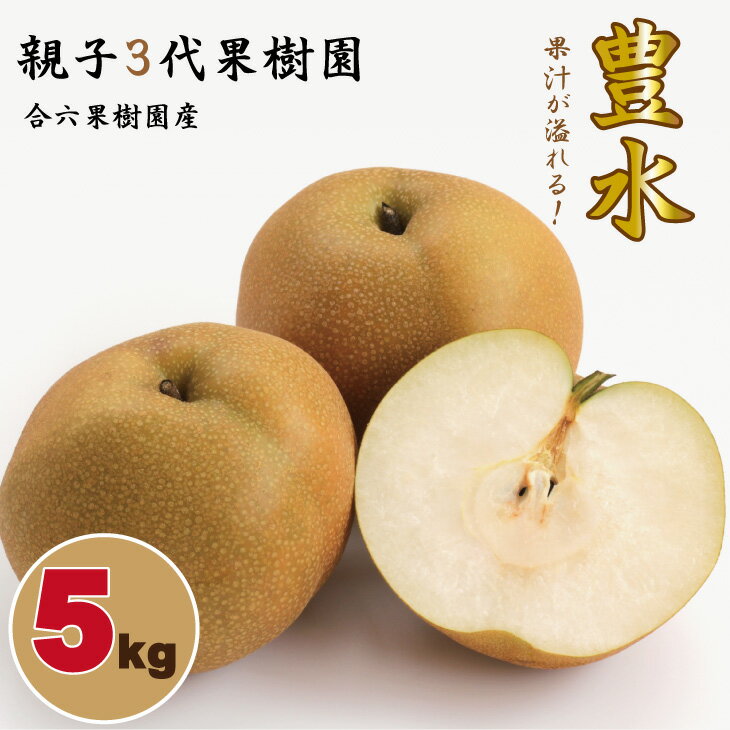 【ふるさと納税】【先行予約】 豊水 梨（5kg）親子三世代 農家 合六果樹園 送料無料 農家直送 フルーツ 秋 ジューシー 果実 果物 ほうすい 人気 ランキング なし 梨 果物 くだもの 冷蔵【B140-016】