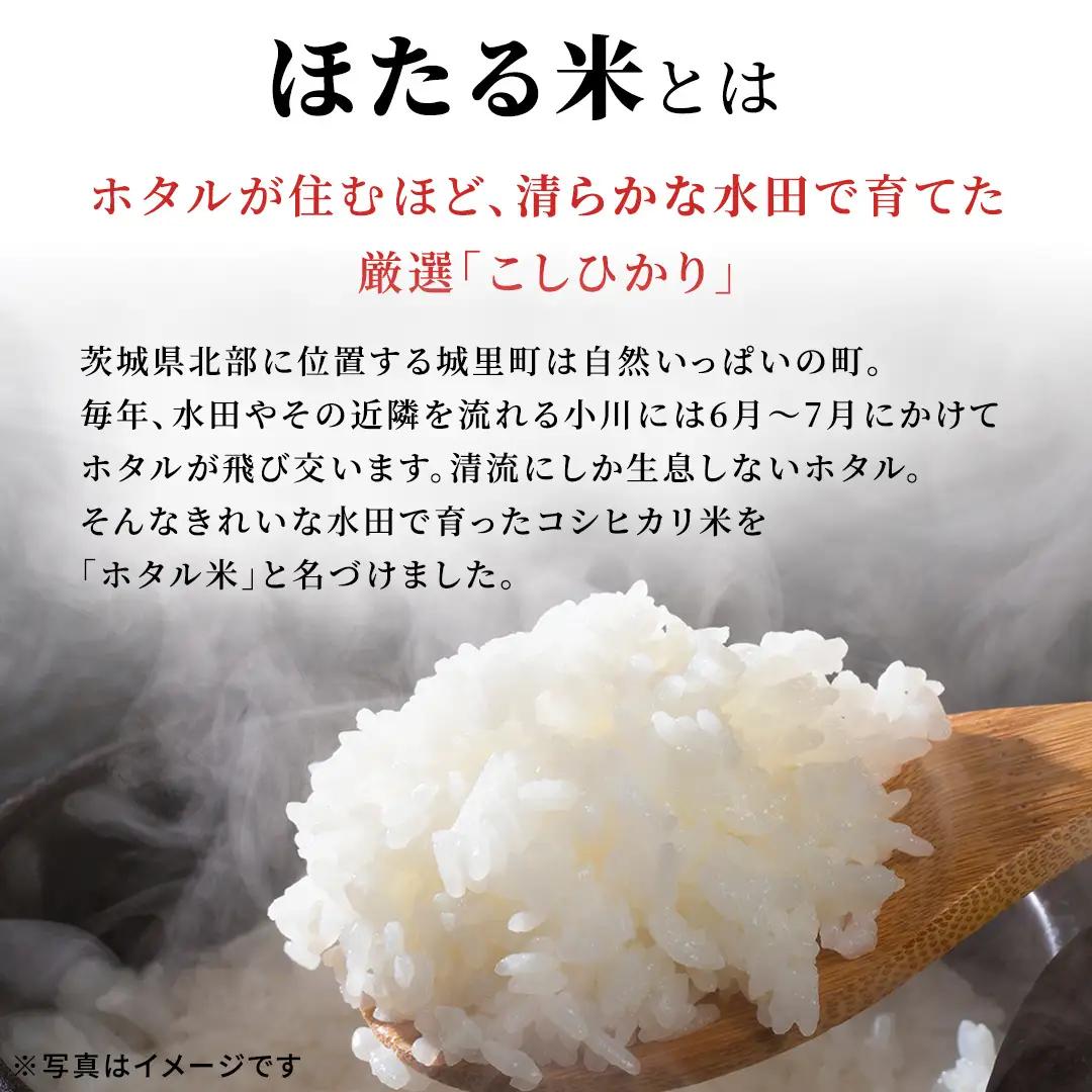 【無洗米】6ヵ月定期便 洗わず炊ける！令和8年産 コシヒカリ ホタル米 10kg × 6ヶ月 産地直送 一人暮らし 単身赴任 キャンプ アウトドア 茨城県 城里町 新米 精白米 米 ご飯 こしひかり 