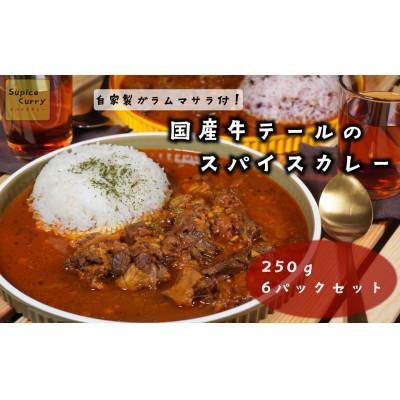 ふるさと納税 福津市 【本格】国産牛テールのスパイスカレー　250g×6パック[F4469s]