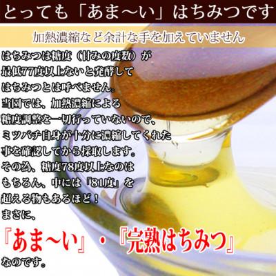 ふるさと納税 富山市 富山県産レンゲ蜂蜜500g×1本・トチの木蜂蜜500g×1本　セット |  | 01
