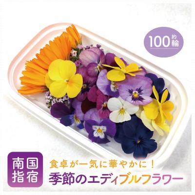 ふるさと納税 指宿市 季節のエディブルフラワー(約100輪)(010-1526)