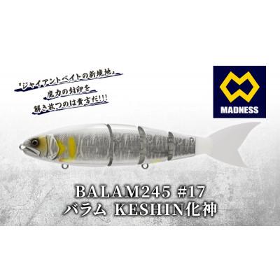 ふるさと納税 京田辺市 BALAM245 #17 バラム KESHIN化神 〈マドネス、ビックベイト、釣り、ルアー〉