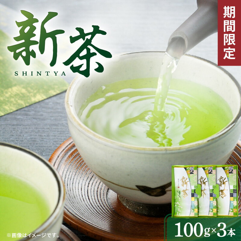 【ふるさと納税】【2025年5月31日までの申込限定】 新茶 3本 鹿児島市 九州 特産品 お土産 贈り物 プレゼント ギフト 贈答 日本産 セット 安心 安全 旬 逸品 甘み 旨味 香り お茶 新茶 厳選 茶葉 リーフティー 日本茶鑑定士 三州園 期間限定 令和7年 2025年