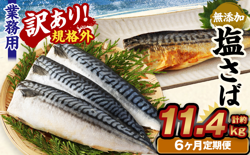 【6ヶ月定期便】【訳あり規格外】 業務用 無添加塩さば 1.9kg