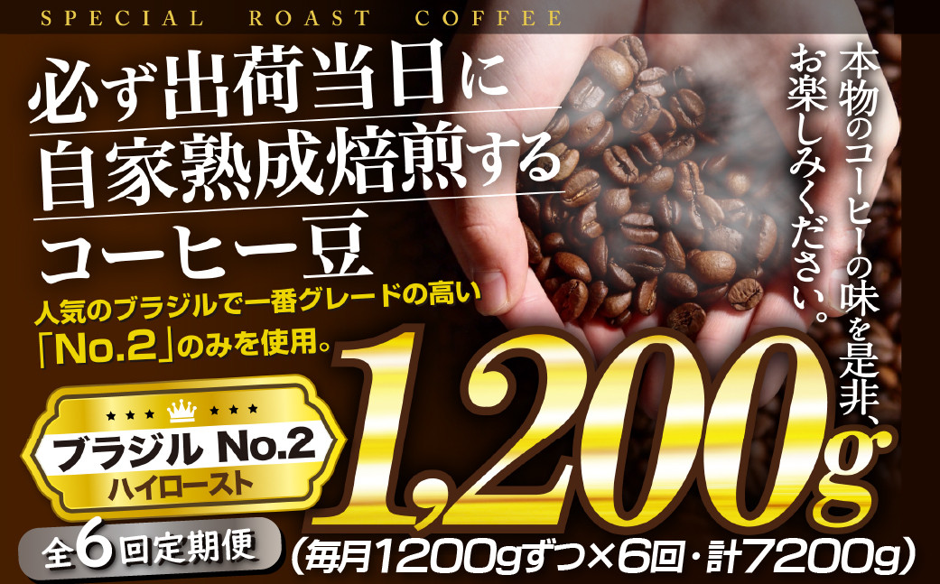 
            E430z 【6回定期便】必ず出荷日に自家熟成焙煎ブラジルNo.2豆(1,200g)【SASEBO Coffee TOMINAGA】 人気 新鮮 挽きたて 高級コーヒー 本格 大容量
          