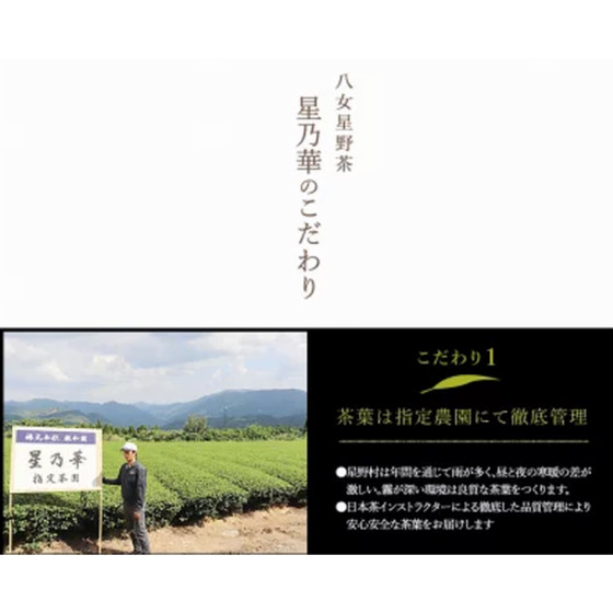 八女星野茶 星乃秋桜 煎茶100g×1 かぶせ100g×1_イメージ3