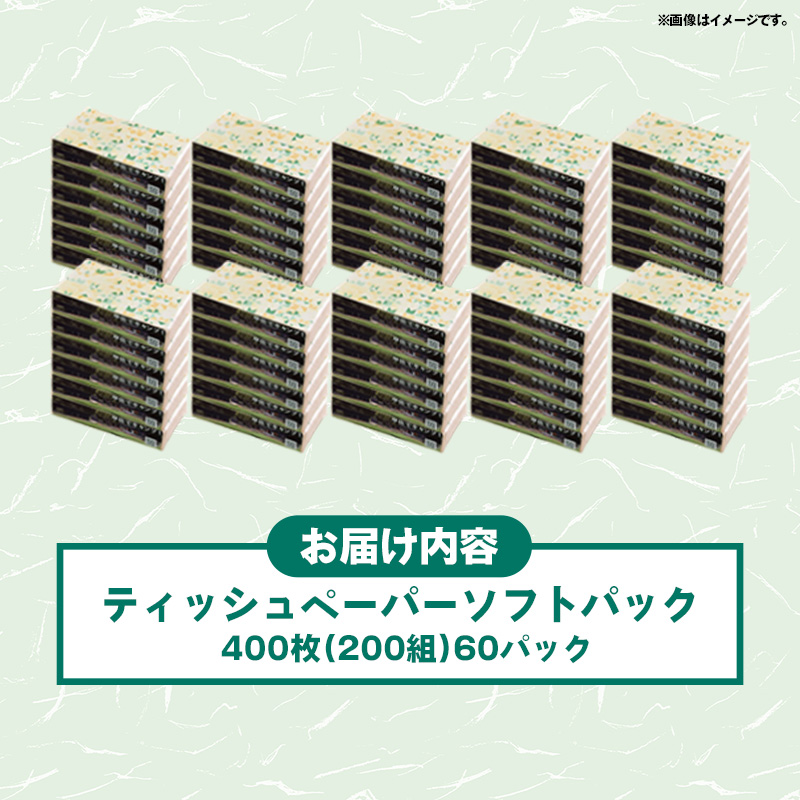 ティッシュペーパーソフトパック　４００枚（２００組）６０パック - ソフトパック ティッシュ ペーパー 生活用品 雑貨 日用品 必需品 紙 常備品 まとめ買い 備蓄 防災 ストック 熊本県 甲佐町_イ