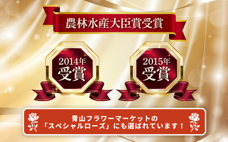 バラ お任せ20本 | バラ