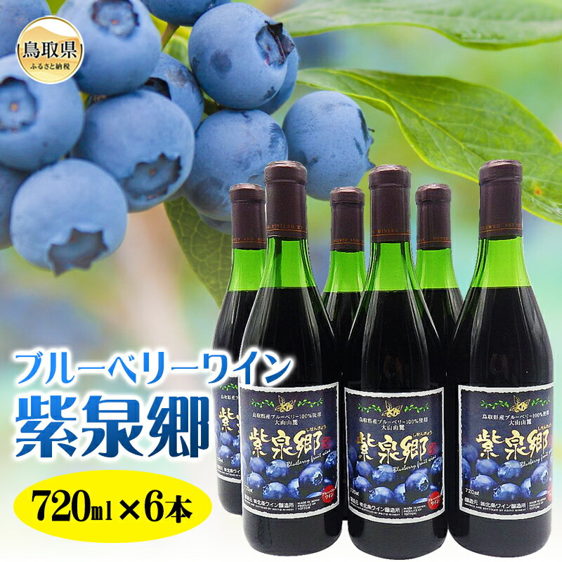 【ふるさと納税】E24-005 ブルーベリーワイン紫泉郷720ml 6本セット【数量限定】 鳥取県 おすすめ 飲料 無加水 フルーツワイン 果実酒