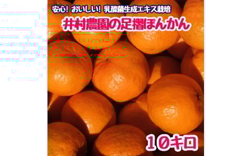 令和/８年１月下旬発送　井村農園の足摺ぽんかん（10kg）デコポンの親 みかん 柑橘 果物 果実 ミカン ぽんかん ポンカン フルーツ おやつ デザート 10キロ 美味しい おいしい  【R01133】