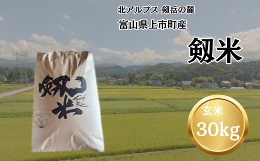 【令和7年産】上市町産コシヒカリ「剱米」（玄米）30kg　 [ソムリエH 富山県 上市町 32280235-r6-05] 　お米 コメ ご飯 ごはん 玄米ご飯 玄米ごはん こしひかり