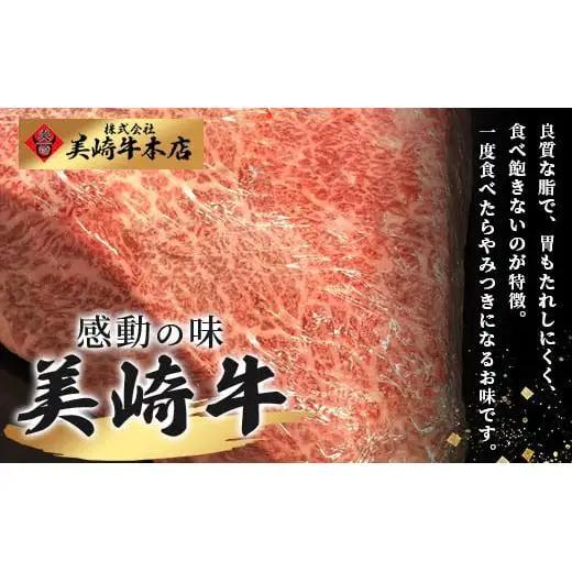 美崎牛ハンバーグ200g×6個　O-5