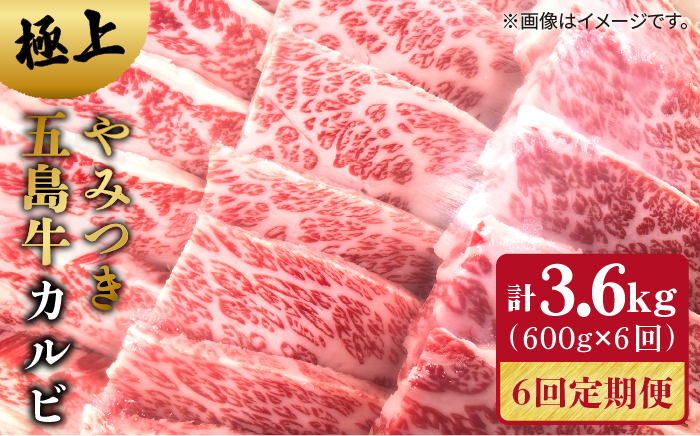 【全6回定期便】極上やみつき五島牛カルビ 600g【肉のマルヒサ】 [PCV025]