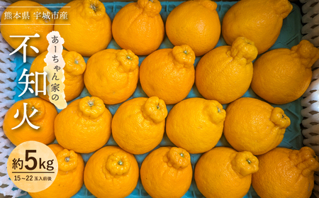 【先行予約】不知火 あーちゃん家の不知火 5kg 【2026年4月上旬～5月下旬発送予定】